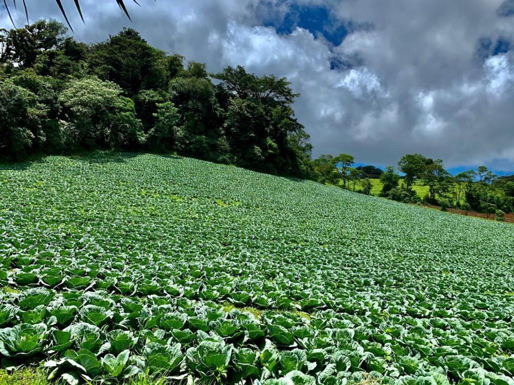 Finca Neblina Del Bosque Estelí Εξωτερικό φωτογραφία