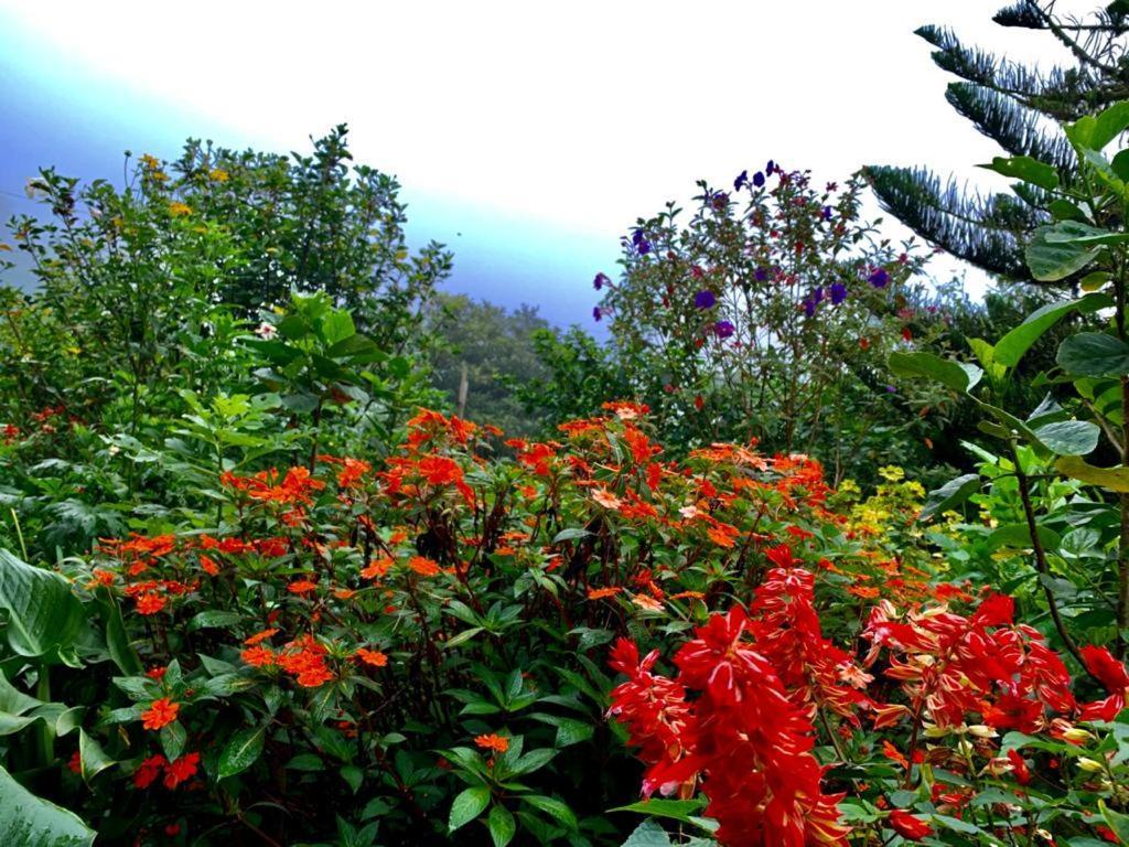 Finca Neblina Del Bosque Estelí Εξωτερικό φωτογραφία