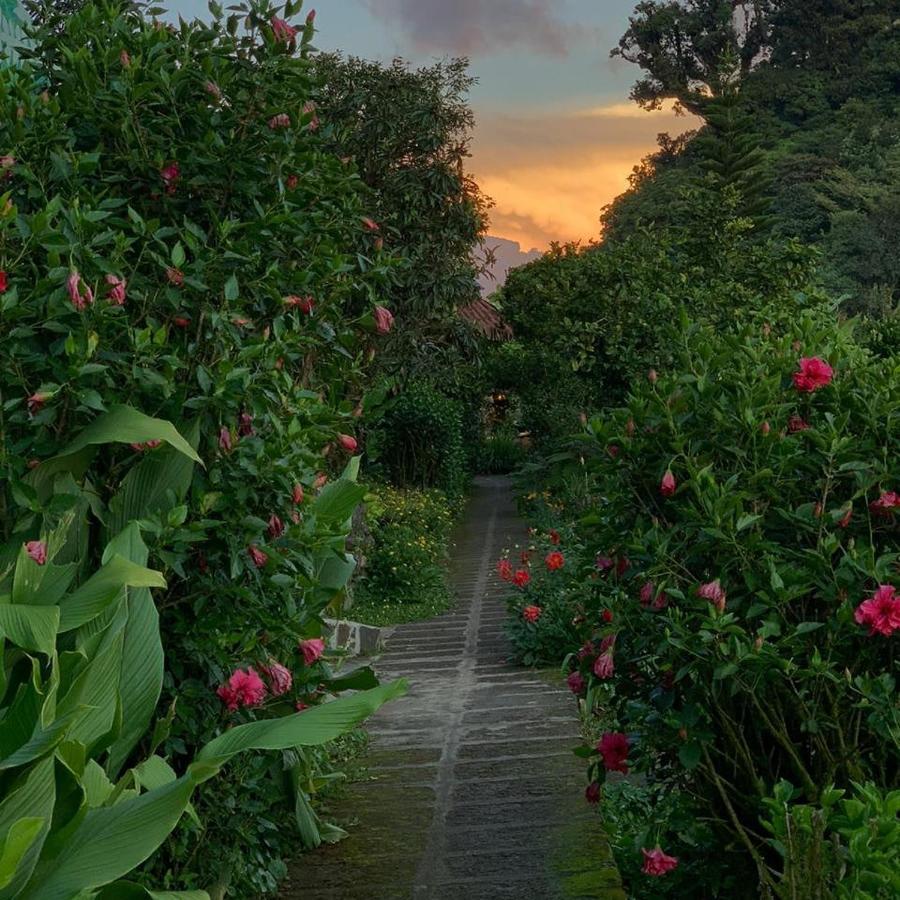 Finca Neblina Del Bosque Estelí Εξωτερικό φωτογραφία