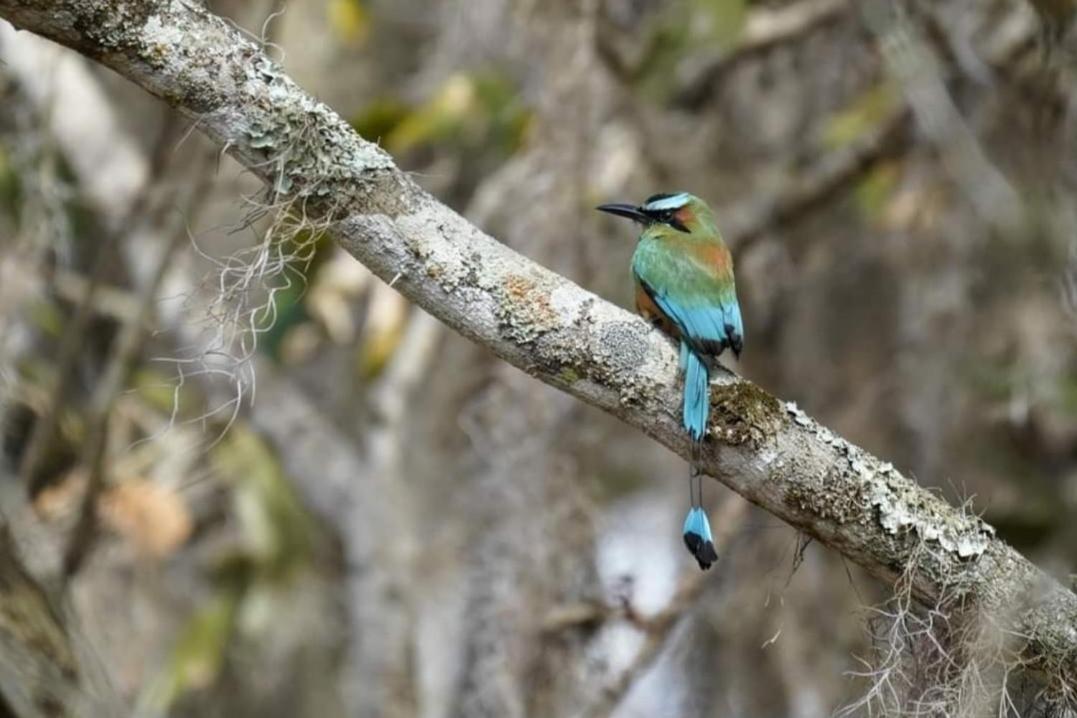 Finca Neblina Del Bosque Estelí Εξωτερικό φωτογραφία
