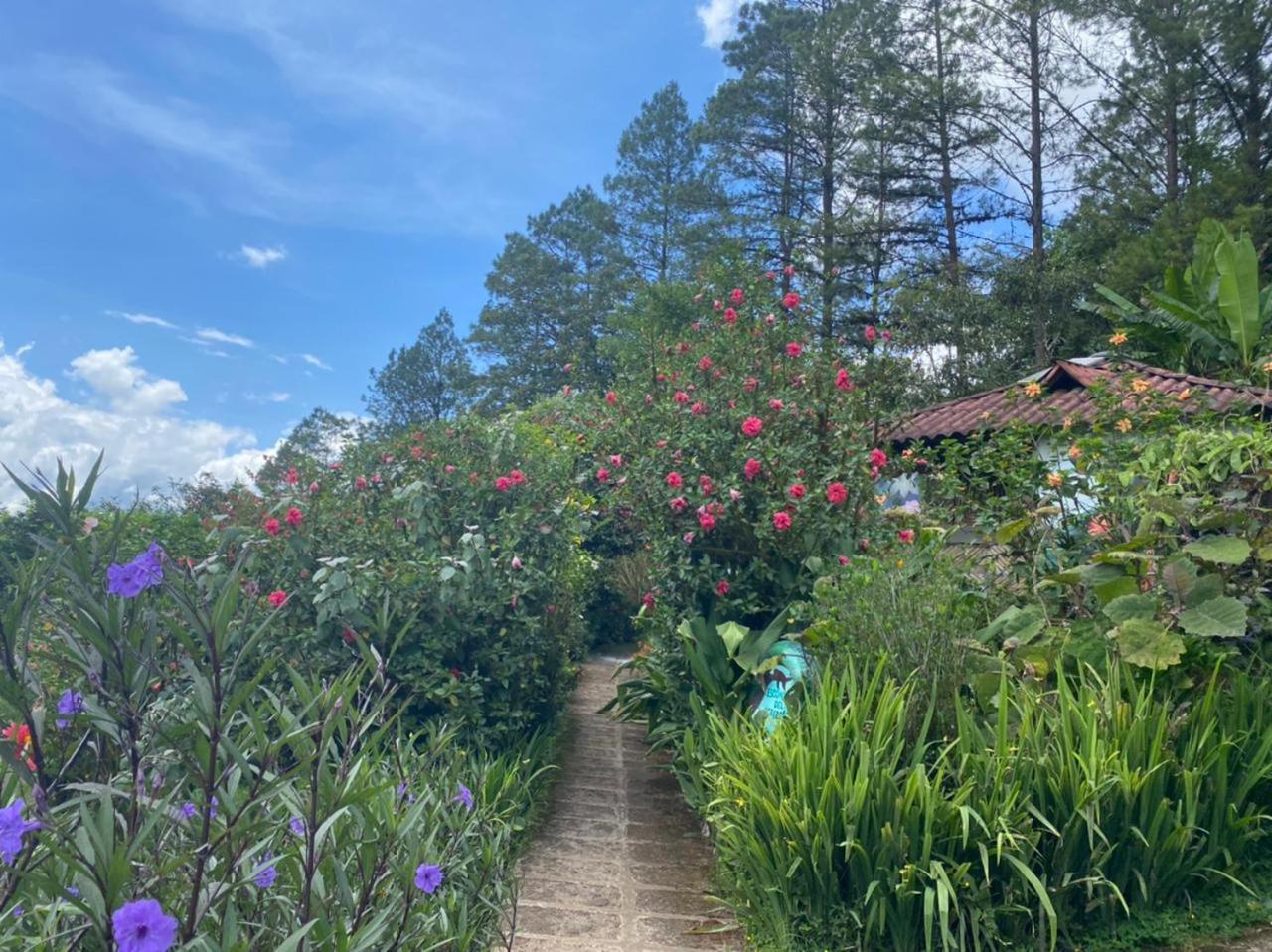 Finca Neblina Del Bosque Estelí Εξωτερικό φωτογραφία
